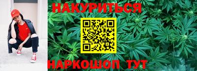 прущие крисы Можга